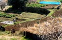 小鍋 河津町 賀茂郡 静岡県