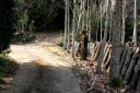 旧下田街道 小鍋 河津町 賀茂郡 静岡県