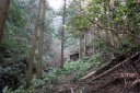 旧下田街道 小鍋 河津町 賀茂郡 静岡県