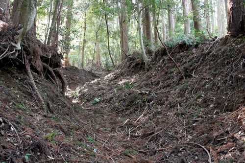 旧下田街道 小鍋 河津町 賀茂郡 静岡県