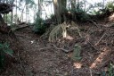 石塔 旧下田街道 小鍋 河津町 賀茂郡 静岡県