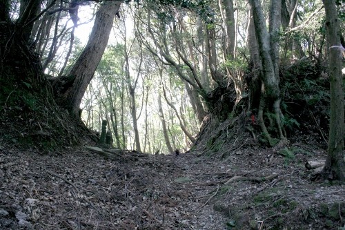 小鍋峠（旧下田街道）・石地蔵 小鍋 河津町 賀茂郡 静岡県
