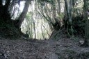 小鍋峠（旧下田街道）・石地蔵 小鍋 河津町 賀茂郡 静岡県