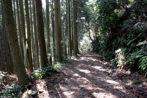 旧下田街道 須原 下田市 静岡県