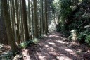旧下田街道 須原 下田市 静岡県