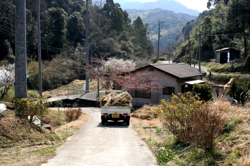 旧下田街道 八木山 須原 下田市 静岡県