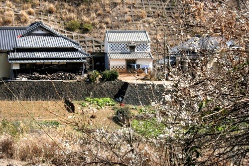 北ノ沢 須原 下田市 静岡県