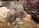 蛇地蔵 茅野原 須原 下田市 静岡県