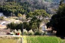 宇土金 下田市 静岡県
