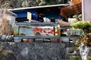 民家 宇土金 下田市 静岡県
