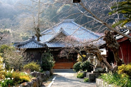 向陽院 河内 下田市 静岡県