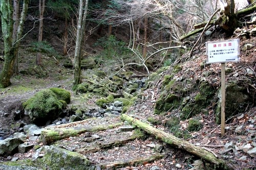 二本杉峠道 湯ヶ島 伊豆市 静岡県