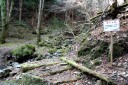 二本杉峠道 湯ヶ島 伊豆市 静岡県