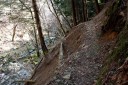 二本杉峠道 湯ヶ島 伊豆市 静岡県