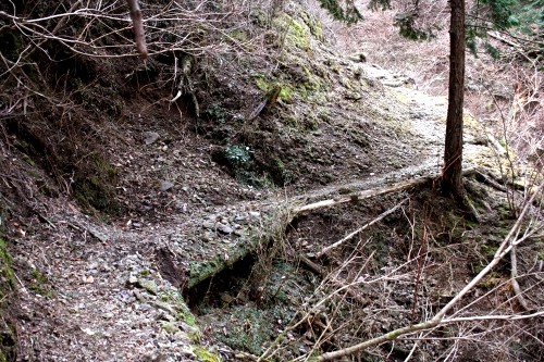 二本杉峠道 湯ヶ島 伊豆市 静岡県