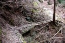 二本杉峠道 湯ヶ島 伊豆市 静岡県