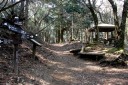 二本杉峠（旧天城峠） 湯ヶ島 伊豆市 静岡県