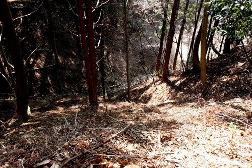 二本杉峠道 梨本 河津町 賀茂郡 静岡県