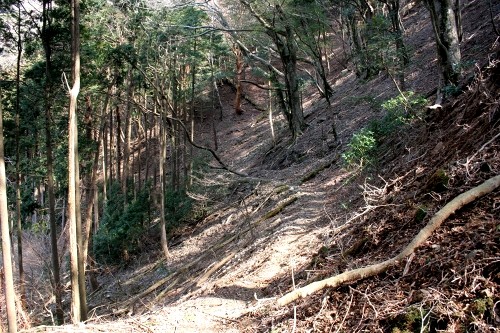 二本杉峠道 梨本 河津町 賀茂郡 静岡県