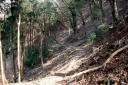 二本杉峠道 梨本 河津町 賀茂郡 静岡県