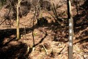 峠茶屋跡 二本杉峠道 梨本 河津町 賀茂郡 静岡県