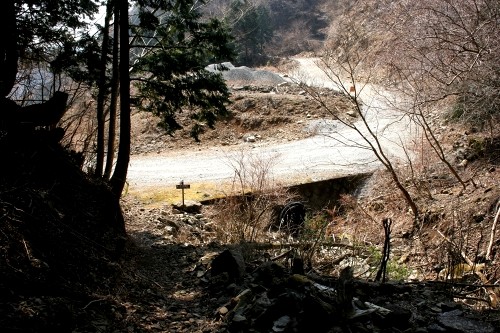 二本杉峠道 梨本 河津町 賀茂郡 静岡県
