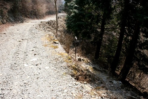 二本杉峠道 梨本 河津町 賀茂郡 静岡県