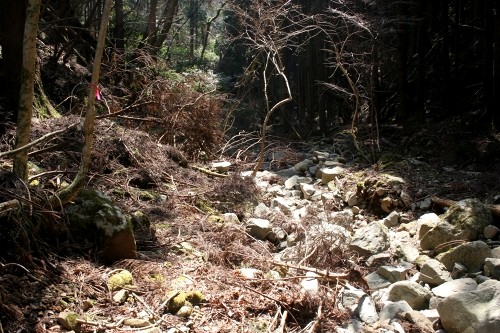 二本杉峠道 梨本 河津町 賀茂郡 静岡県