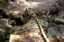橋崩落 二本杉峠道 梨本 河津町 賀茂郡 静岡県