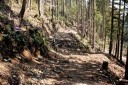 二本杉峠道 梨本 河津町 賀茂郡 静岡県