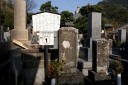 鶴松の墓（稲田寺） １丁目 下田市 静岡県