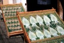 天日干し １丁目 下田市 静岡県