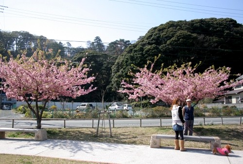 下田城跡（下田公園） ３丁目 下田市 静岡県
