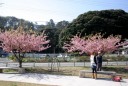 下田城跡（下田公園） ３丁目 下田市 静岡県