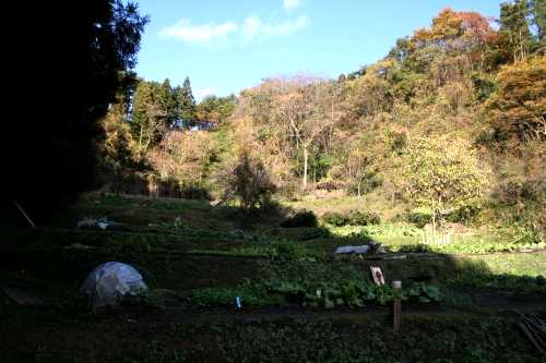 十符谷 台屋敷 宮城野区 仙台市