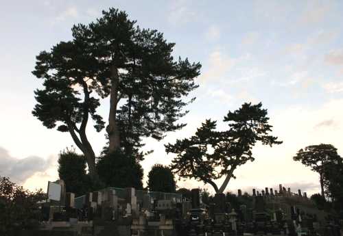 末の松山 八幡２丁目 多賀城市