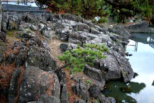 沖の井（沖の石） 八幡２丁目 多賀城市