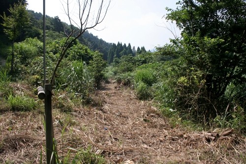 深坂古道旧道 沓掛 西浅井町 長浜市 滋賀県