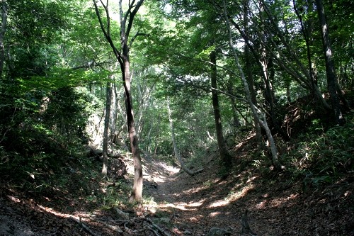 深坂古道 追分 敦賀市 福井県