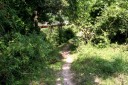 深坂古道 追分 敦賀市 福井県