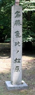 気比の松原 松島町 敦賀市 福井県