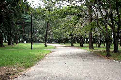 田原街道旧道跡 高師緑地公園 高師町北原 豊橋市 愛知県