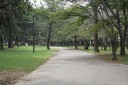 田原街道旧道跡 高師緑地公園 高師町北原 豊橋市 愛知県