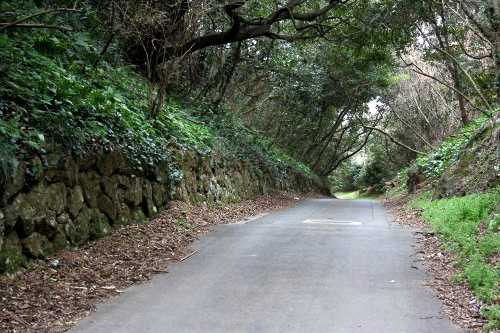 田原街道旧道 宇津江坂峠 坂南/坂北 宇津江町 田原市 愛知県
