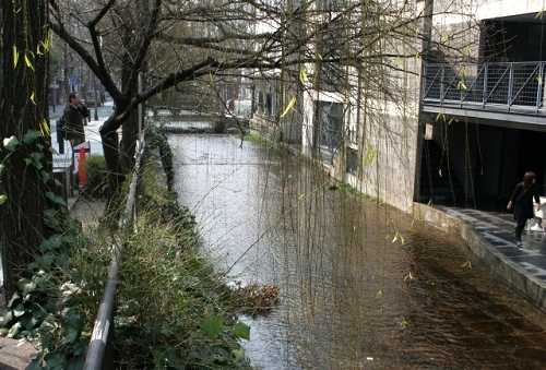 高瀬川 三条木屋町 中京区 京都市