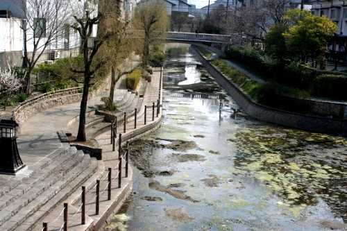 京橋船着場 南浜町・柳町 伏見 京都市