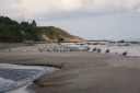 木野部海岸 佐助川 大畑町 むつ市 青森県