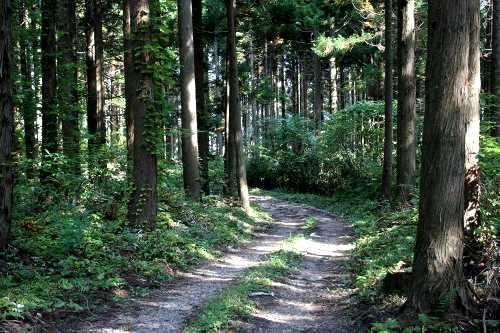 旧田名部街道 下風呂甲平ノ下 風間浦村 下北郡 青森県