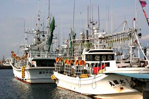 いか釣船団 大間漁港 大間 大間町 下北郡 青森県