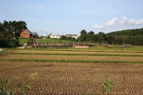旧田名部街道 関根 むつ市 青森県